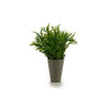 Ibergarden Vaso in Plastica 13 x 25 x 13 cm Verde