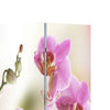 vidaXL Folding Room Divider 120x170 cm with Flower Print