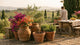 Vasi e Fioriere da Giardino