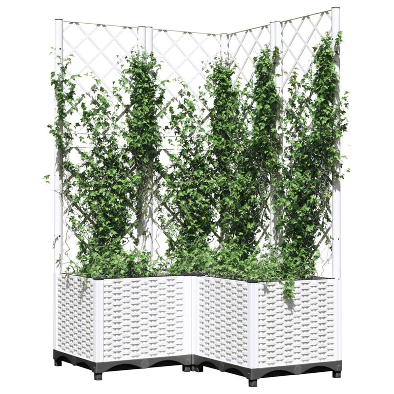 Fioriera da Giardino con Graticcio in PP 80×80×136 cm Bianca - Image 12 of 17