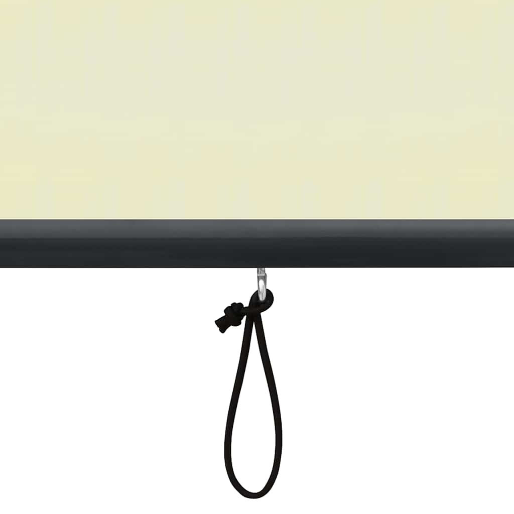 Tenda a Rullo per Esterni, Tessuto PA, Meccanismo a Manovella, 140×250 cm, Crema - Image 48 of 250