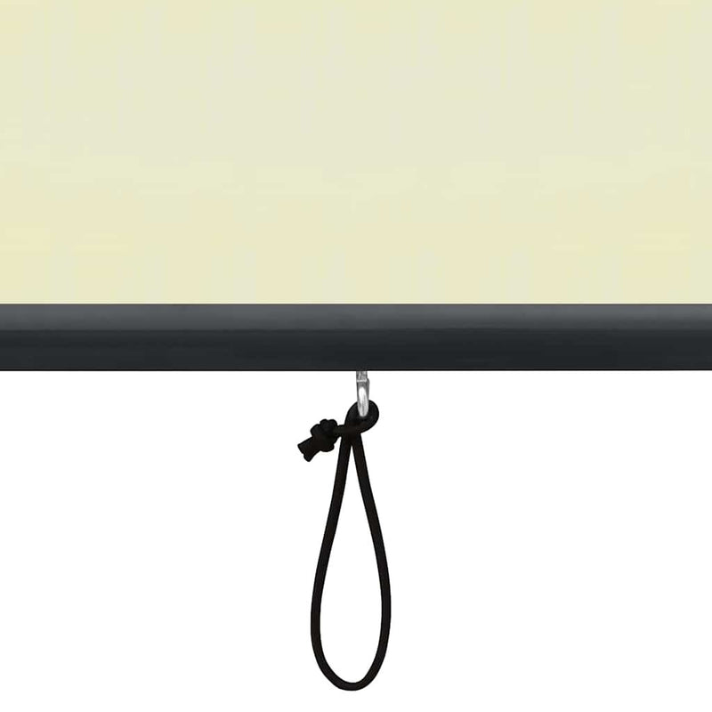 Tenda a Rullo per Esterni, Tessuto PA, Meccanismo a Manovella, 140×250 cm, Crema - Image 48 of 250