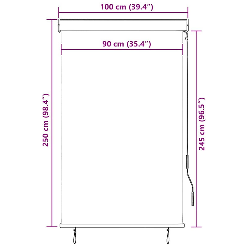 Tenda a Rullo per Esterni 100×250 cm Blu e Bianca - Image 47 of 250