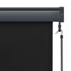 Tenda a Rullo per Esterni Tessuto Poliestere 80×250 cm Antracite - Image 39 of 250