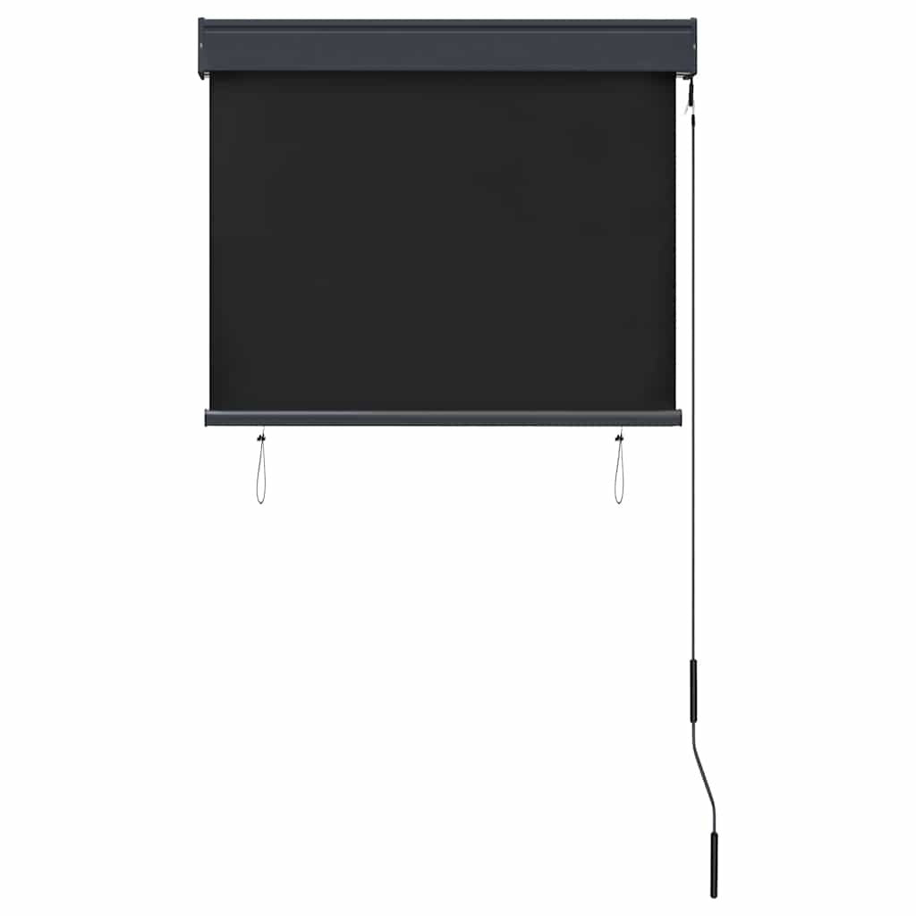 Tenda a Rullo per Esterni Tessuto Poliestere 80×250 cm Antracite - Image 40 of 250
