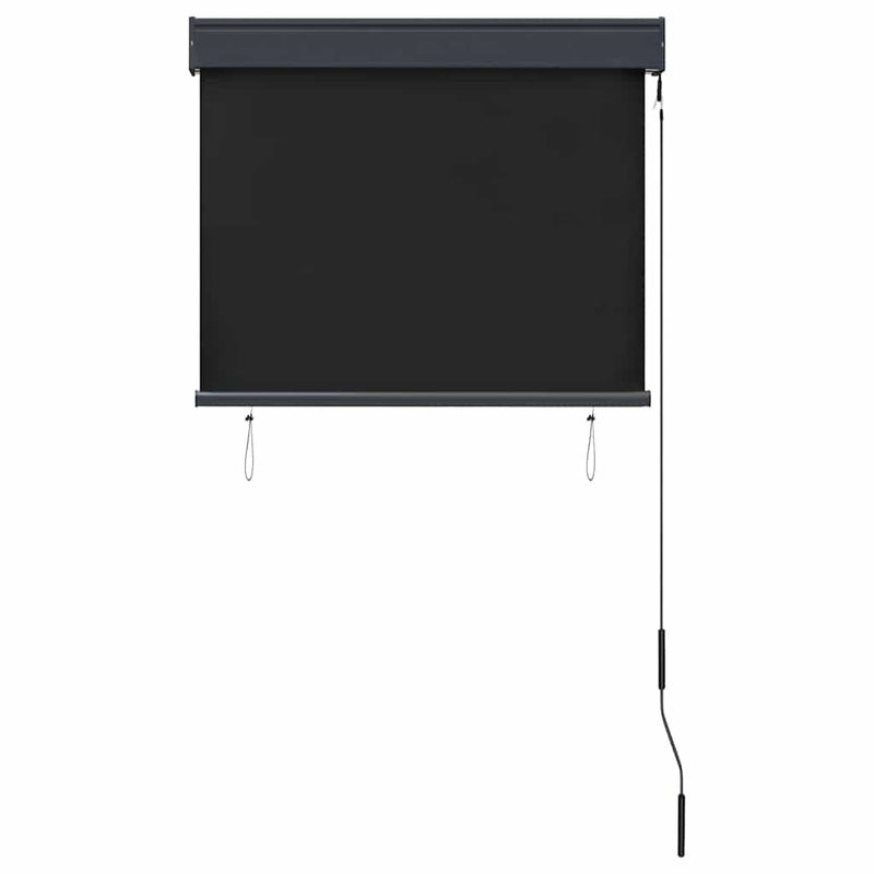 Tenda a Rullo per Esterni Tessuto Poliestere 80×250 cm Antracite - Image 40 of 250