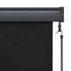 Tenda a Rullo per Esterni Tessuto Poliestere 80×250 cm Antracite - Image 45 of 250