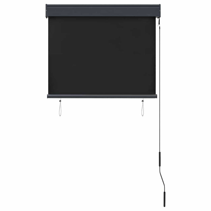 Tenda a Rullo per Esterni Tessuto Poliestere 80×250 cm Antracite - Image 46 of 250
