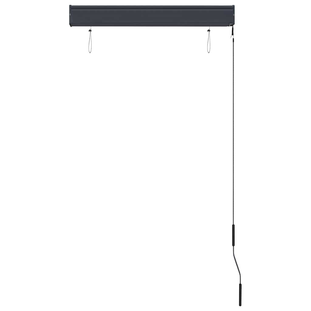 Tenda a Rullo per Esterni Tessuto Poliestere 80×250 cm Antracite - Image 49 of 250