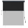 Tenda a Rullo per Esterni Poliestere 140×250 cm Antracite - Image 40 of 250