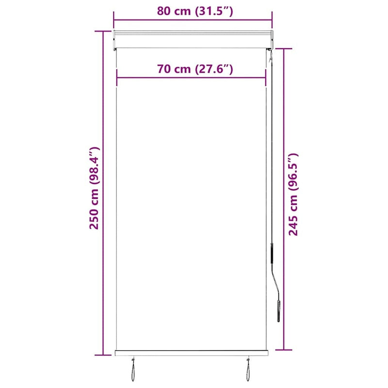 Tenda a Rullo per Esterni Tessuto Poliestere 80×250 cm Antracite - Image 85 of 250