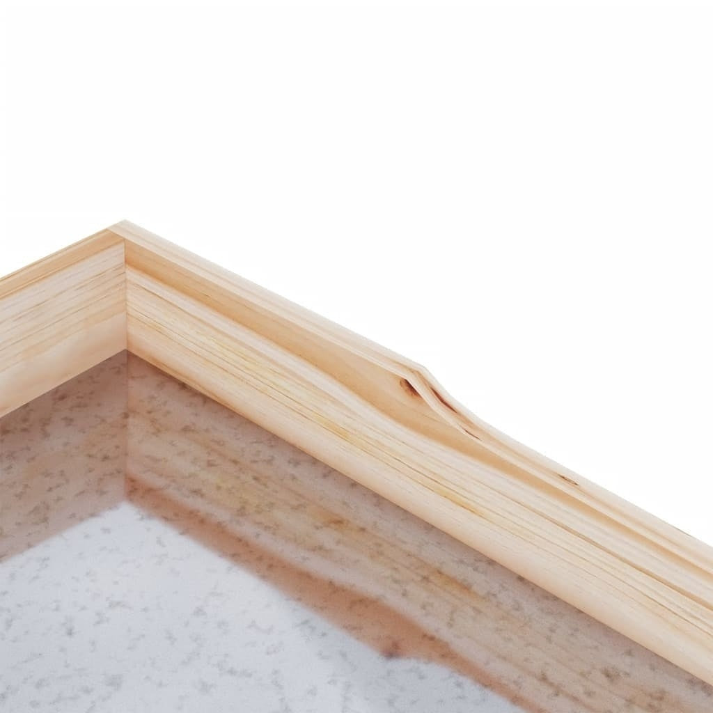Tavolo Piante Legno Massello Abete con Piano in Zinco 78×38×82,5 cm - Image 134 of 230