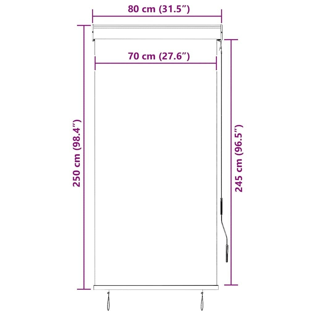 Tenda a Rullo per Esterni Tessuto Poliestere 80×250 cm Antracite - Image 118 of 250