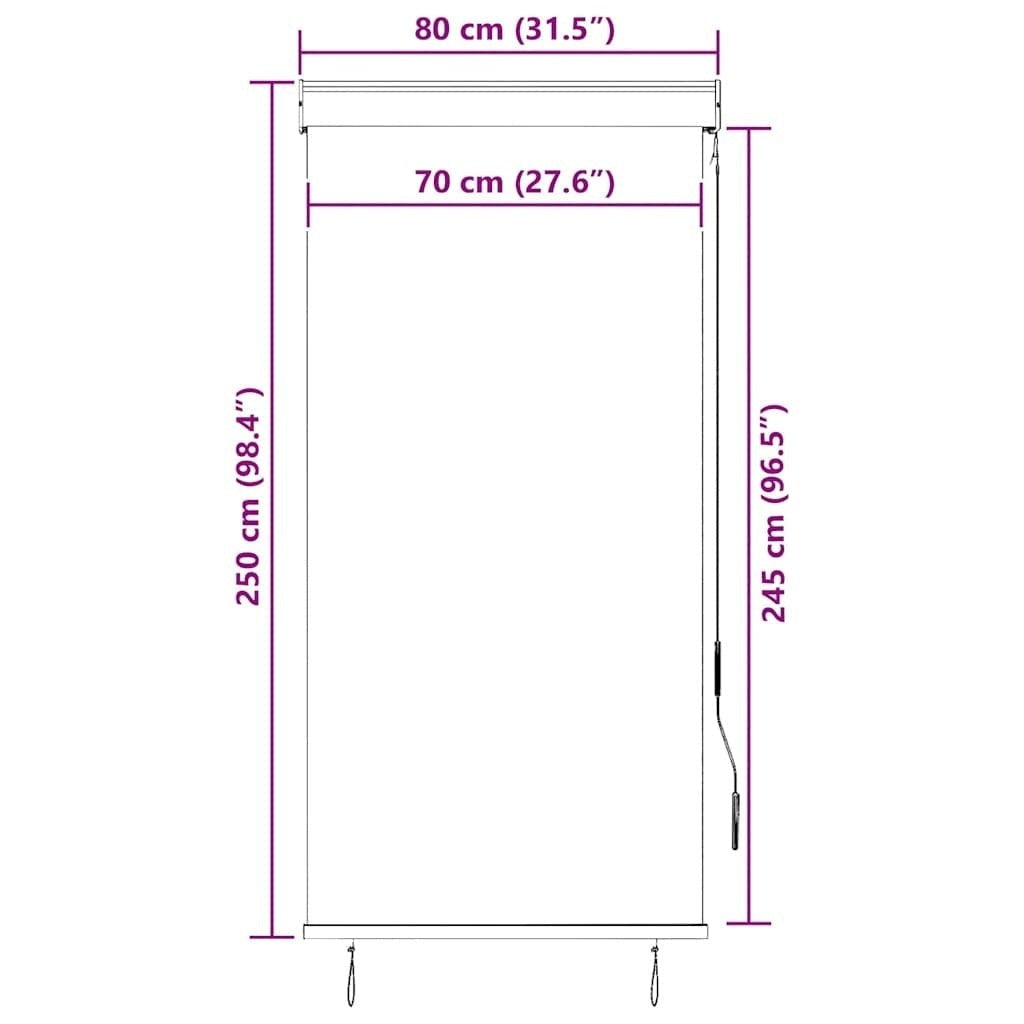 Tenda a Rullo per Esterni Tessuto Poliestere 80×250 cm Antracite - Image 127 of 250
