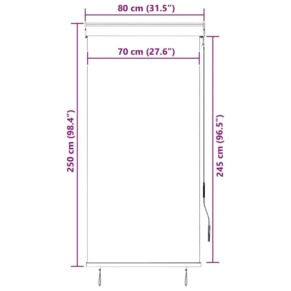 Tenda a Rullo per Esterni Tessuto Poliestere 80×250 cm Antracite - Image 130 of 250