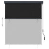 Tenda a Rullo per Esterni Poliestere 140×250 cm Antracite - Image 76 of 250