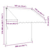 Tenda da Sole Retrattile Manuale Poliestere Rivestito PU 200 cm Antracite - Image 62 of 250