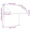 Tenda da Sole Retrattile Manuale Poliestere Rivestito PU 200 cm Antracite - Image 63 of 250