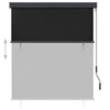 Tenda a Rullo per Esterni Poliestere 140×250 cm Antracite - Image 120 of 250