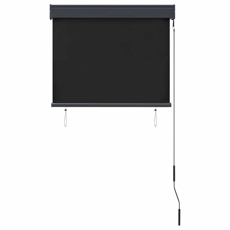 Tenda a Rullo per Esterni Tessuto Poliestere 80×250 cm Antracite - Image 145 of 250
