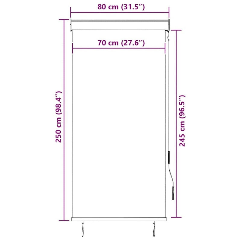 Tenda a Rullo per Esterni Tessuto Poliestere 80×250 cm Antracite - Image 151 of 250
