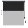 Tenda a Rullo per Esterni Poliestere 140×250 cm Antracite - Image 136 of 250