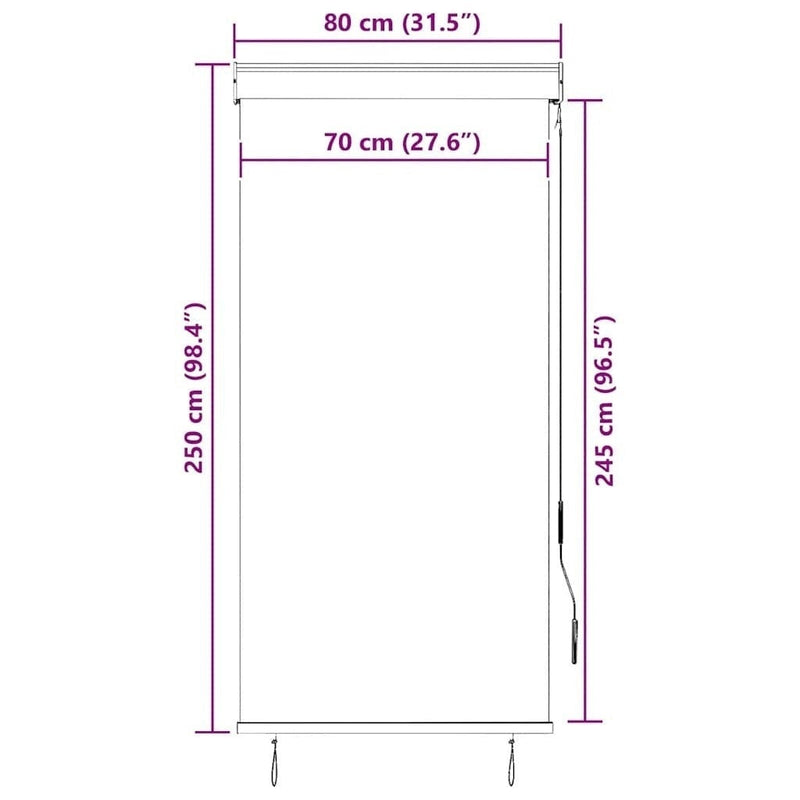 Tenda a Rullo per Esterni Tessuto Poliestere 80×250 cm Antracite - Image 163 of 250
