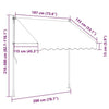 Tenda da Sole Retrattile Manuale Poliestere Rivestito PU 200 cm Antracite - Image 112 of 250