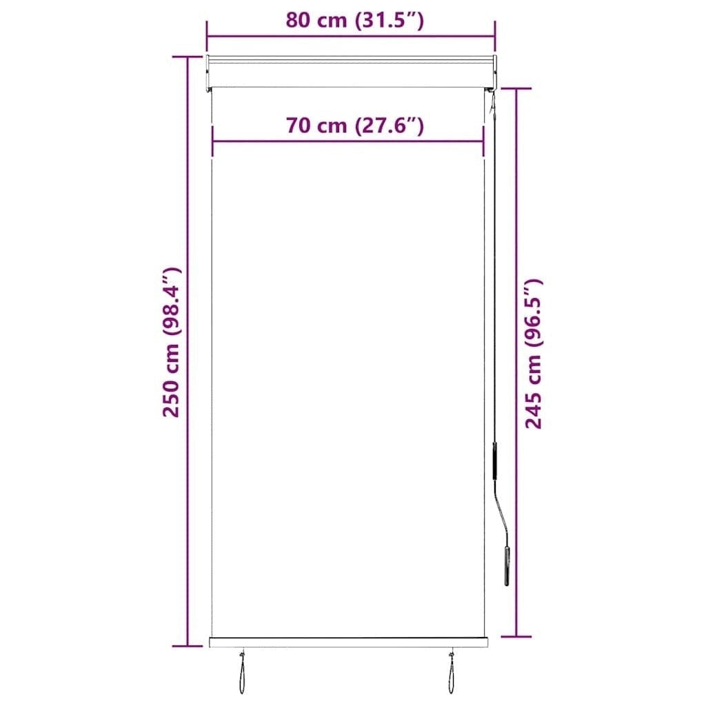 Tenda a Rullo per Esterni Tessuto Poliestere 80×250 cm Antracite - Image 188 of 250