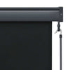Tenda a Rullo per Esterni Poliestere 140×250 cm Antracite - Image 157 of 250