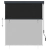 Tenda a Rullo per Esterni Poliestere 140×250 cm Antracite - Image 189 of 250