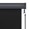 Tenda a Rullo per Esterni Tessuto Poliestere 80×250 cm Antracite - Image 223 of 250