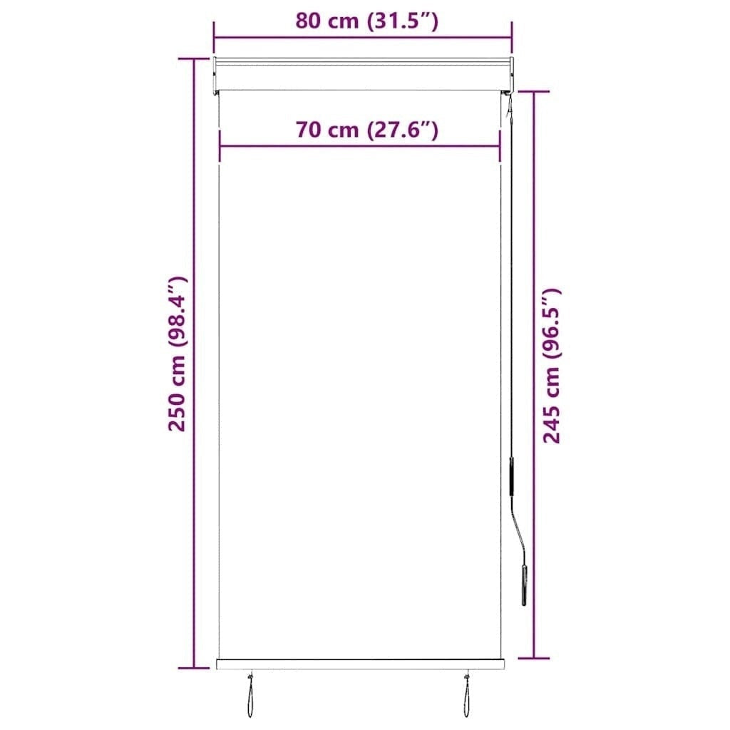 Tenda a Rullo per Esterni Tessuto Poliestere 80×250 cm Antracite - Image 227 of 250