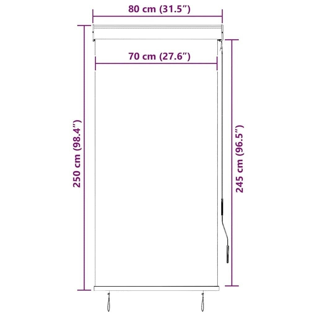 Tenda a Rullo per Esterni Tessuto Poliestere 80×250 cm Antracite - Image 230 of 250