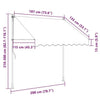 Tenda da Sole Retrattile Manuale Poliestere Rivestito PU 200 cm Antracite - Image 138 of 250