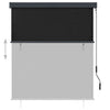 Tenda a Rullo per Esterni Poliestere 140×250 cm Antracite - Image 245 of 250