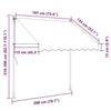 Tenda da Sole Retrattile Manuale Poliestere Rivestito PU 200 cm Antracite - Image 195 of 250