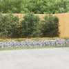 Gabbione ad Arco con Letto Rialzato in Ferro Zincato 600×50×40/50 cm Argento - Image 173 of 250
