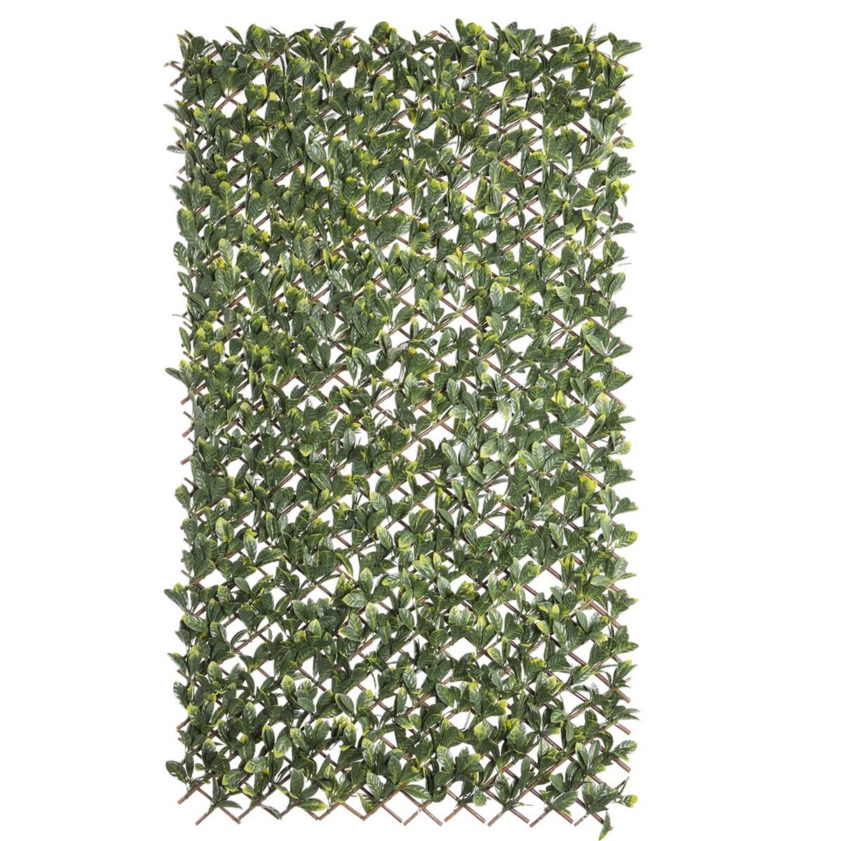 Celosía Natural Laurel Mimbre Bambú 2 x 200 x 100 cm - Image 1 of 4