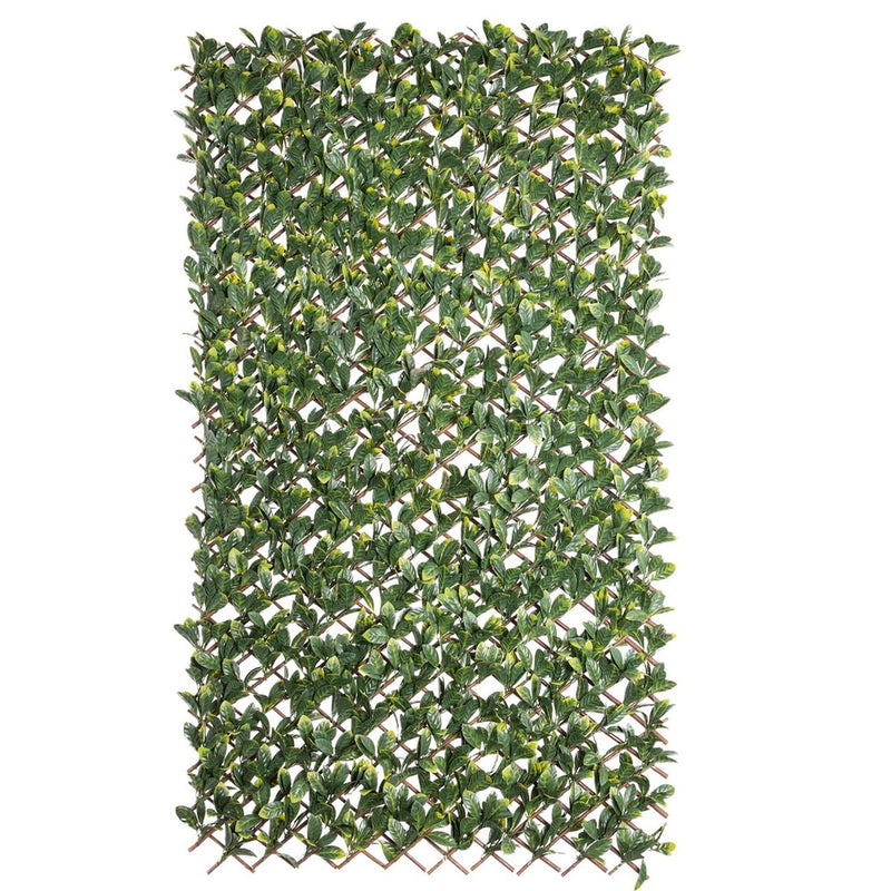 Celosía Natural Laurel Mimbre Bambú 2 x 200 x 100 cm - Image 1 of 4