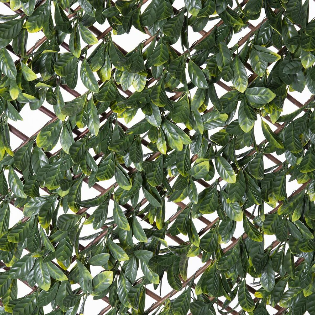 Celosía Natural Laurel Mimbre Bambú 2 x 200 x 100 cm - Image 2 of 4