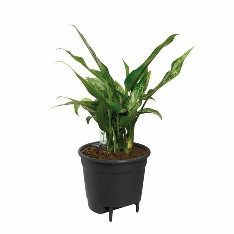 Elho Vaso in Polipropilene Rotondo Ø 21 cm Nero - Image 4 of 4