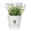 Maceta Elho 0464344715000 Blanco Redondo - Image 6 of 8