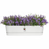 Elho Vaso Rettangolare da Balcone in Plastica 69 cm Bianco - Image 6 of 6