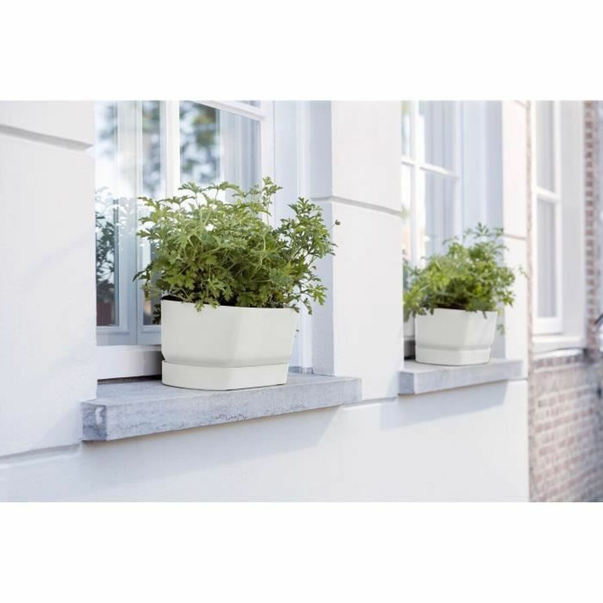 Elho Vaso Rettangolare da Balcone in Plastica 69 cm Bianco - Image 2 of 6