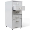 Schedario da Ufficio con 5 Cassetti e Ruote - Grigio Acciaio - immagine 1 | SolPatio - Image 1 of 5