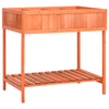 vidaXL Jardinera para Hierbas Aromáticas de Madera Maciza de Abeto 80x60x80 cm Marrón - Image 2 of 6