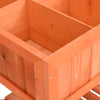 vidaXL Jardinera para Hierbas Aromáticas de Madera Maciza de Abeto 80x60x80 cm Marrón - Image 4 of 6