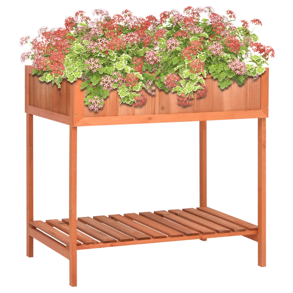 vidaXL Jardinera para Hierbas Aromáticas de Madera Maciza de Abeto 80x60x80 cm Marrón - Image 1 of 6