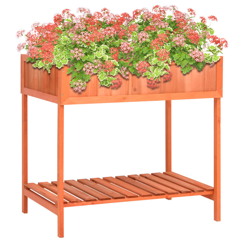 vidaXL Jardinera para Hierbas Aromáticas de Madera Maciza de Abeto 80x60x80 cm Marrón - Image 1 of 6